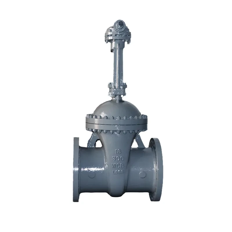 Carbon Steel WCB 18" 300LB RF Flanged Gate Valve with Gearbox Manufacturer & Factory - WKT VALVE