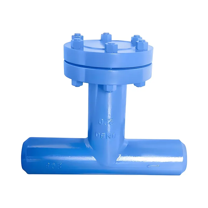 3 Inch Butt Weld T-type Strainer Carbon Steel WCB DN80 150LB Manufacturer & Factory - WKT VALVE